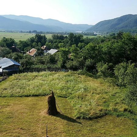 Pensiunea Adeluta Apartament Călimăneşti Dış mekan fotoğraf