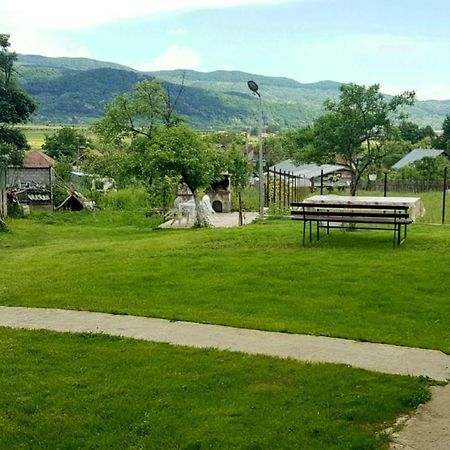 Pensiunea Adeluta Apartament Călimăneşti Dış mekan fotoğraf