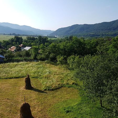 Pensiunea Adeluta Apartament Călimăneşti Dış mekan fotoğraf