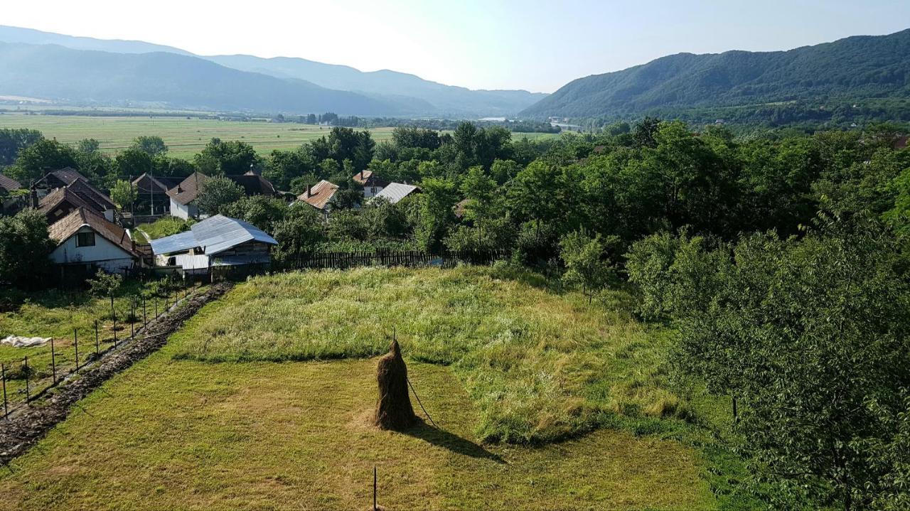 Pensiunea Adeluta Apartament Călimăneşti Dış mekan fotoğraf
