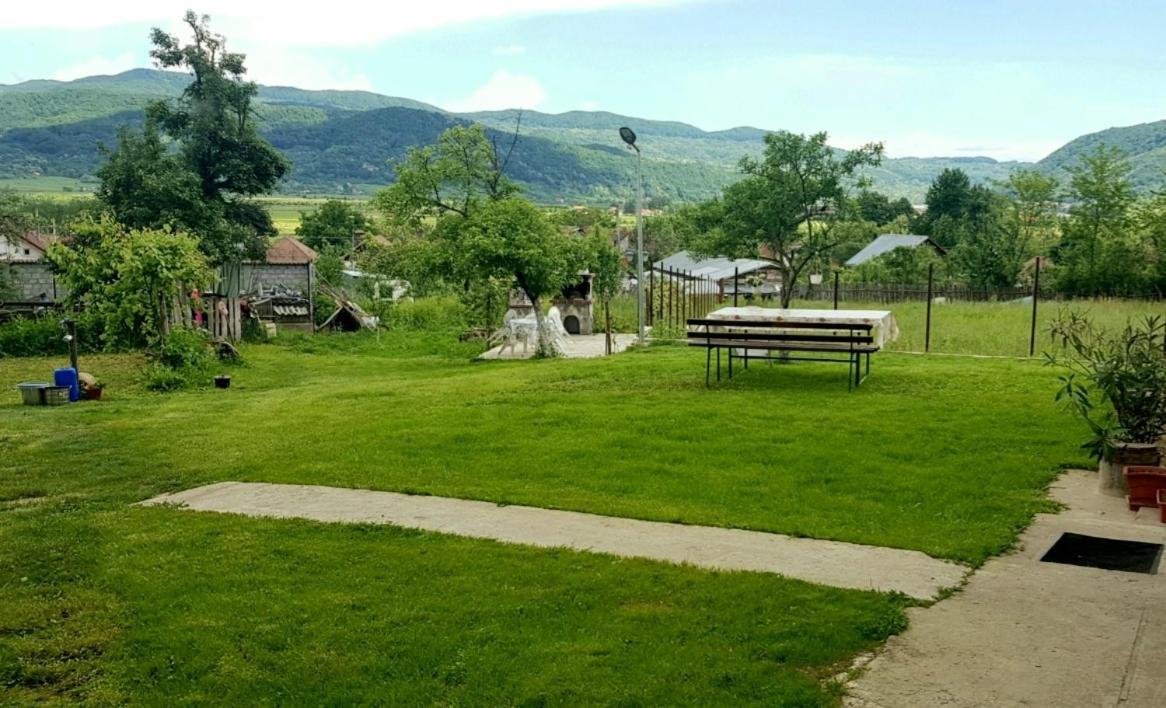 Pensiunea Adeluta Apartament Călimăneşti Dış mekan fotoğraf