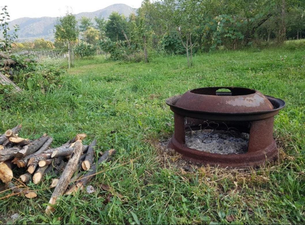 Pensiunea Adeluta Apartament Călimăneşti Dış mekan fotoğraf